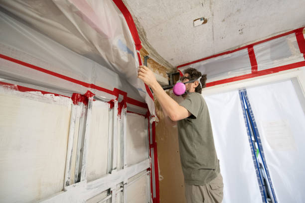 Best Commercial Mold Inspection  in Stanley, WI